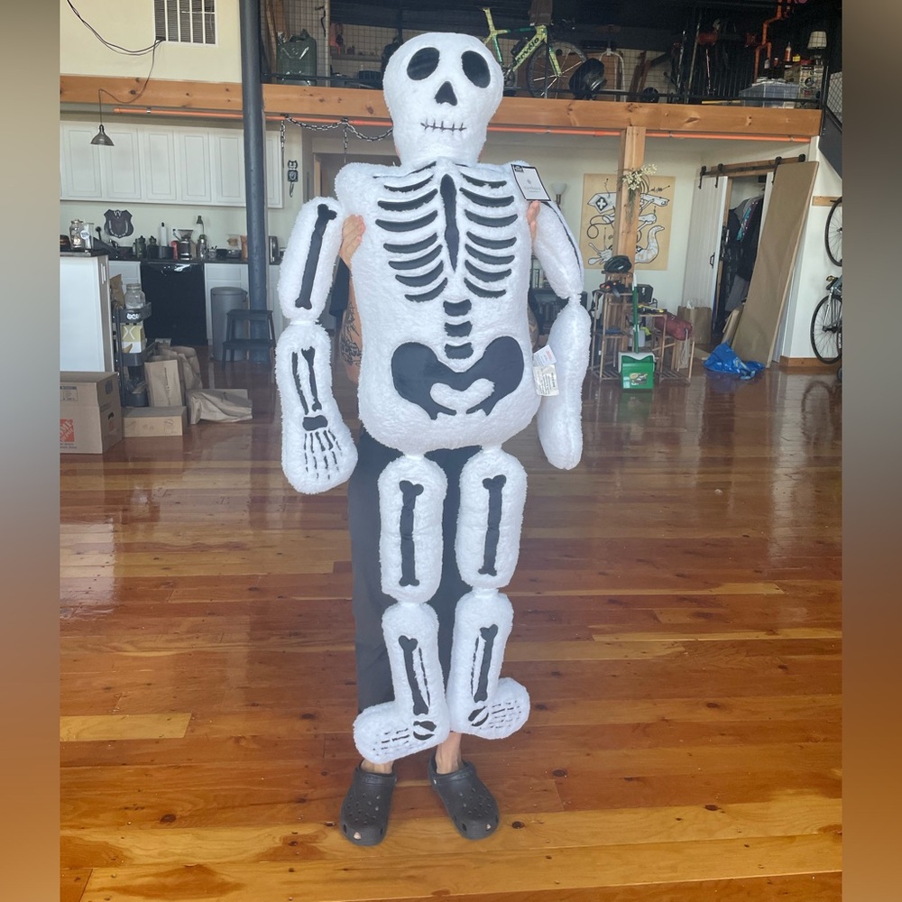 5 foot skeleton from Home Goods, sold out in most stores